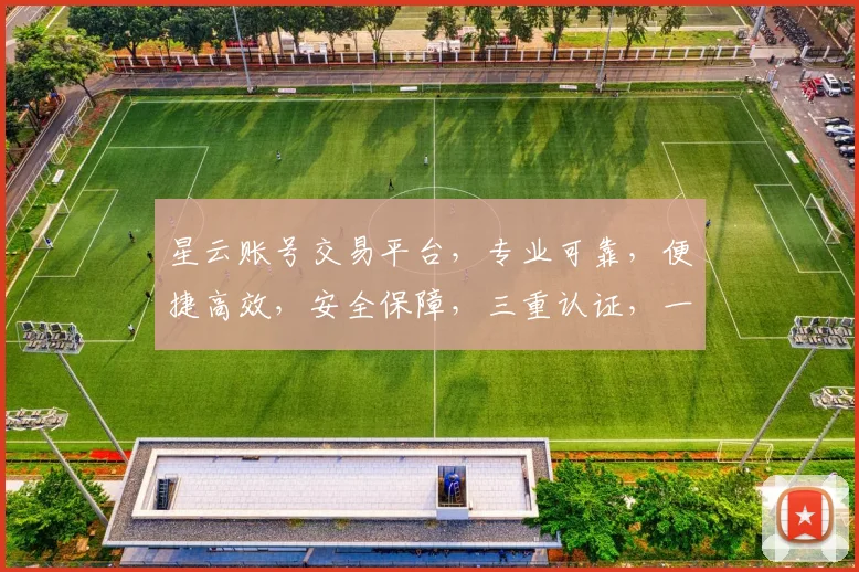 星云账号交易平台，专业可靠，便捷高效，安全保障，三重认证，一站式服务，值得信赖